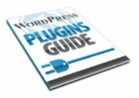 Product picture Word Press Plugin Guide